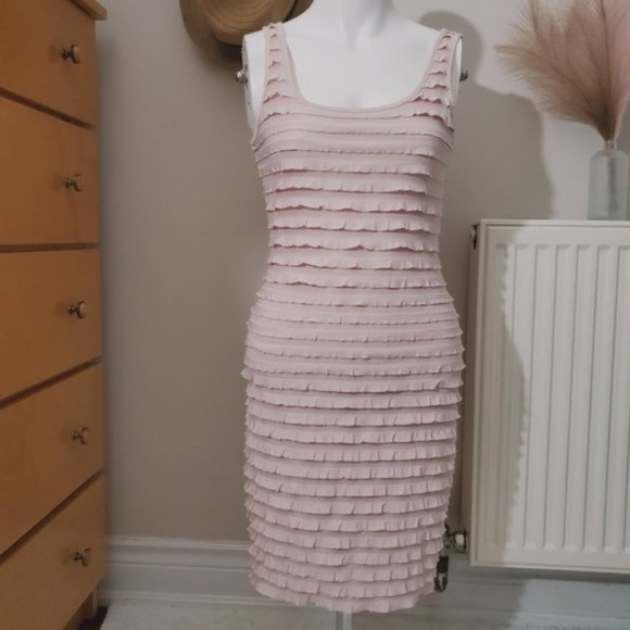 Ruffled Blush Pink Double Lined Bodycon Dress - Picture 4 of 8